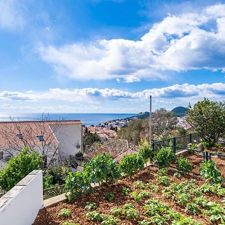 Apartment Debos Dubrovnik Buitenkant foto